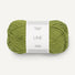 9564 - Matcha