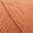 254 - Coral