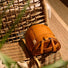 Sac à projet Grace par MUUD