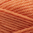 254 - Coral