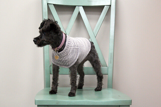 Kit de Tricot - harnais-friendly dog sweater par Jacqueline