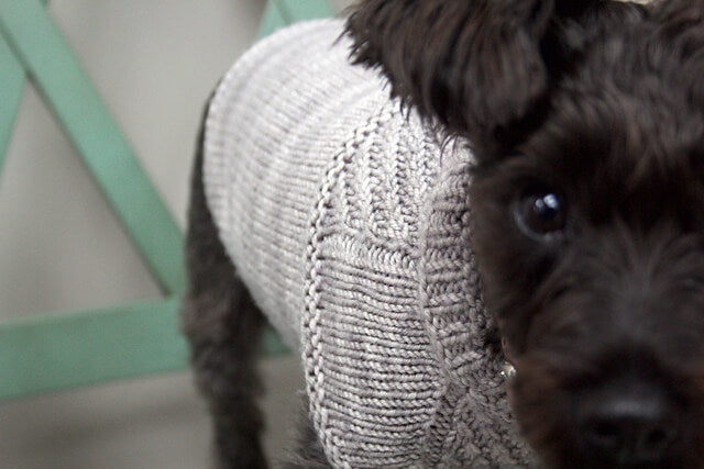 Kit de Tricot - harnais-friendly dog sweater par Jacqueline