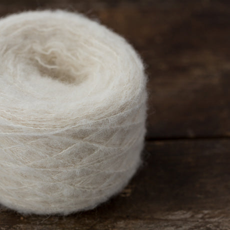 Nueva de Fibre Carpe Diem