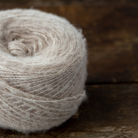 Nueva de Fibre Carpe Diem