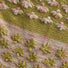 Kit de tricot - Châle Marigold par Kim Lavoie-Dufour