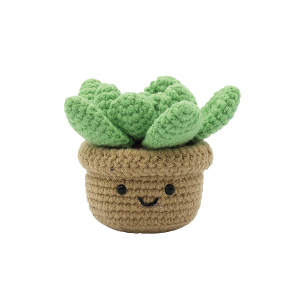 Kit de crochet - Amigurumi SUCCULENTE