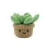 Crochet Kit – Succulent Amigurumi