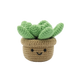 Kit de crochet - Amigurumi SUCCULENTE