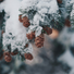 Caramel d'hiver