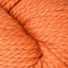 77159 - Pumpkin