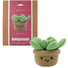 Crochet Kit – Succulent Amigurumi