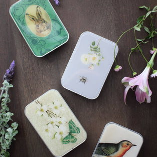 Spring Tin with accessories by NNK Press