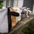 L'Éclat - Collection Écosse par Pure Laine X CIN