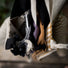 Le Souffle - Collection Écosse by Pure Laine X CIN