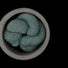 Gris d'Anticosti (disc)