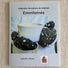 Livre - Emmitainés Collection de patrons de mitaines par Isabelle Allard