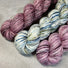Passiflore bleue