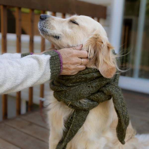 Kit de tricot - Hiedra Shawl par Esti Juango