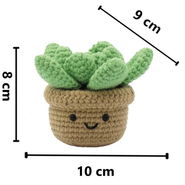 Kit de crochet - Amigurumi SUCCULENTE
