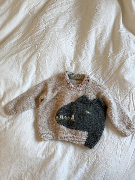 Yarn Bundle – Roarosaurus Rex Sweater by Wool & Beyond