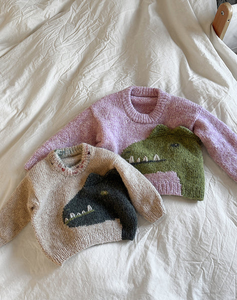 Yarn Bundle – Roarosaurus Rex Sweater by Wool & Beyond