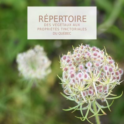 Répertoire des végétaux aux propriété tinctoriales par Djustyle