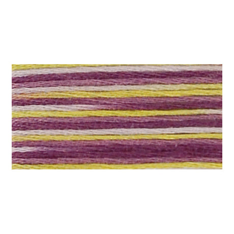 Coton à broder Coloris couleurs 4500 - 4523 par DMC