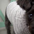 Kit de Tricot - harnais-friendly dog sweater par Jacqueline Cieslak