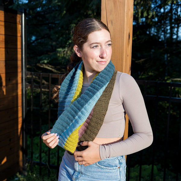 Kit de Tricot - col 5 couleurs en côtes 2/2