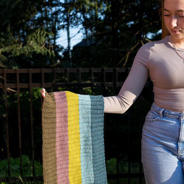 Kit de Tricot - col 5 couleurs en côtes 2/2